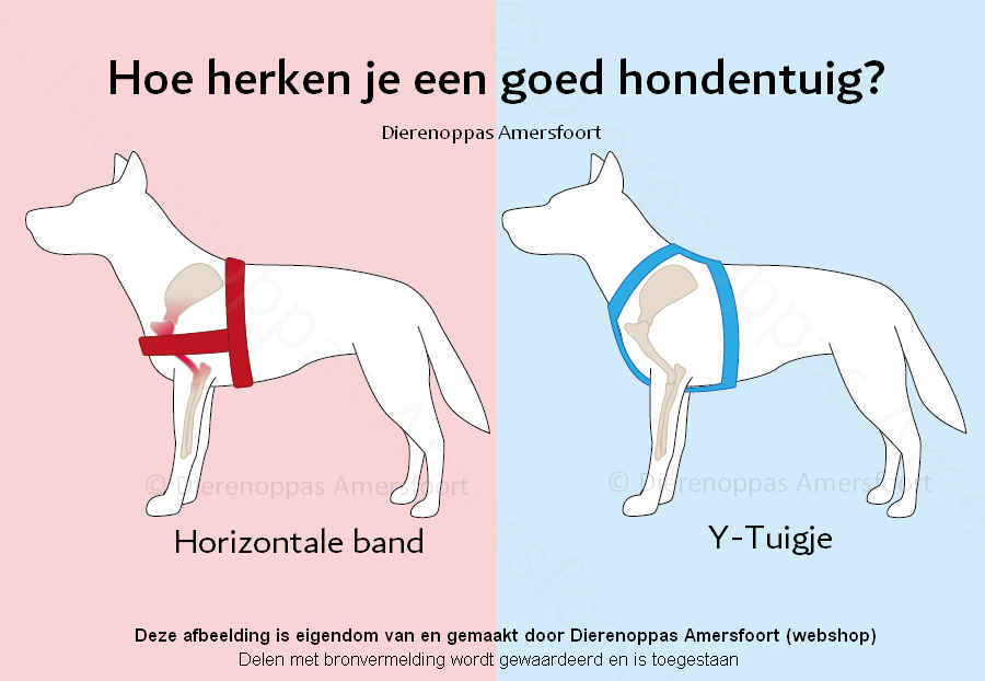 Goed tuig slecht tuigje hond y-tuig borsttuig anti-trektuig honden3