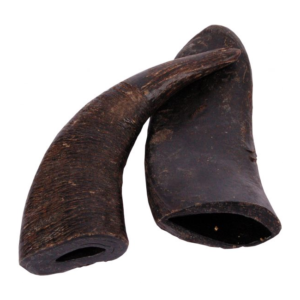Buffelhoorn buffel hoorn Viking horn vikinghoorn harde kauwsnack bot hond hondensnack natuurlijk kluif