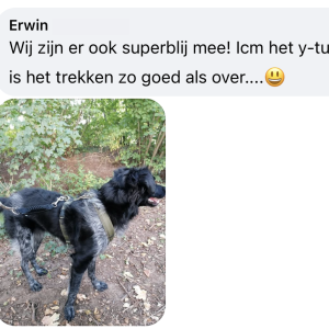 Ervaringen WAW schokdemper dierenoppas amersfoort hond trekt met tuigje