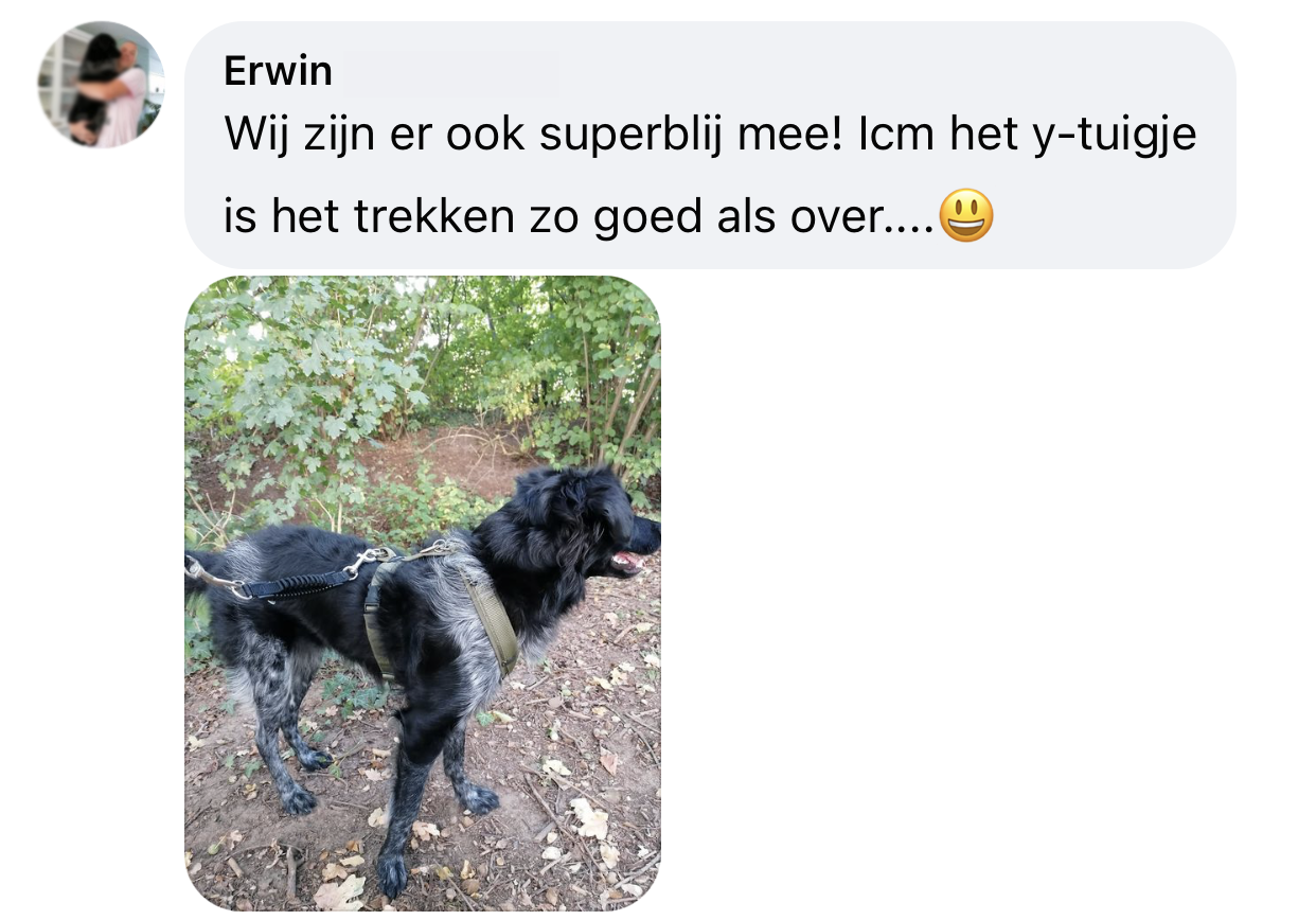 Ervaringen WAW schokdemper dierenoppas amersfoort hond trekt met tuigje