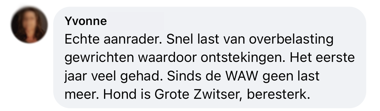 Ervaringen WAW schokdemper dierenoppas amersfoort hond trekt pijnlijke gewrichten