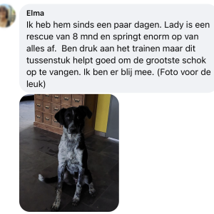 Ervaringen WAW schokdemper dierenoppas amersfoort hond trekt