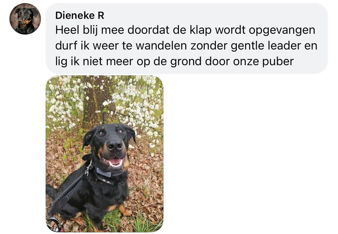 Ervaringen schokbreker hond