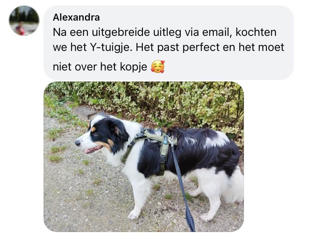 Harnas hond niet over hoofd kop