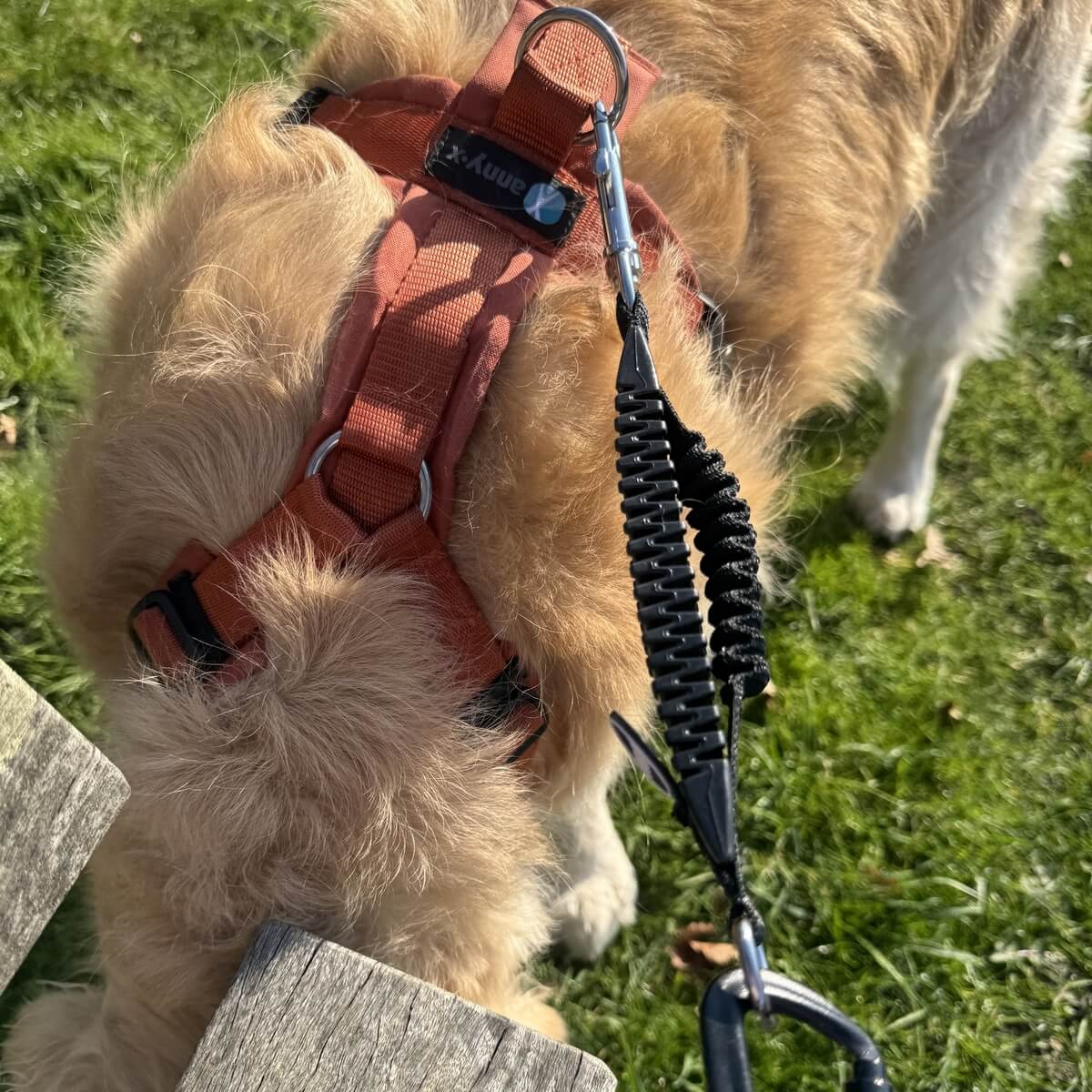 Schokdemper hondenriem