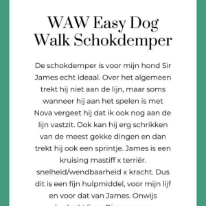 Waw easy dog walk