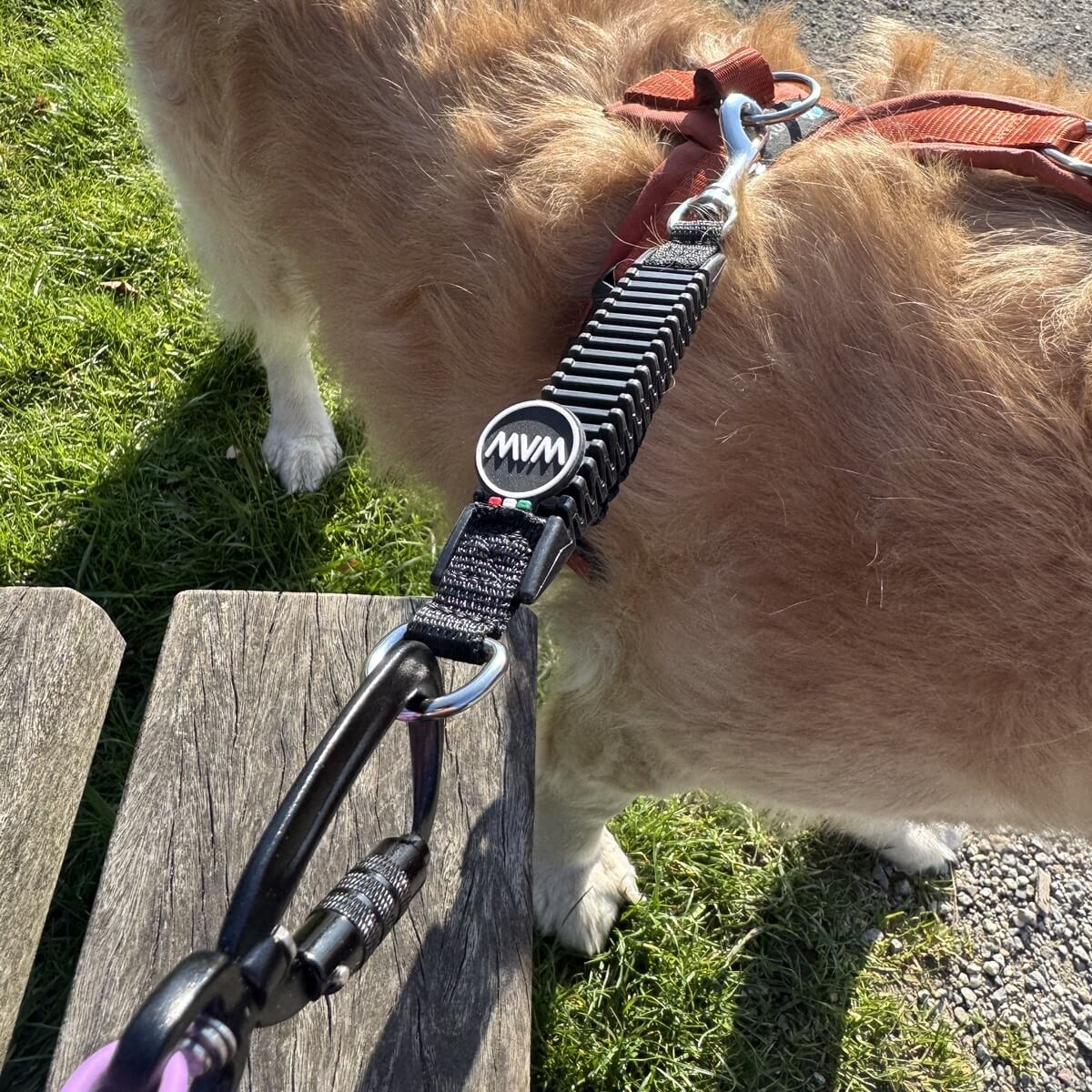 waw schokdemper hond