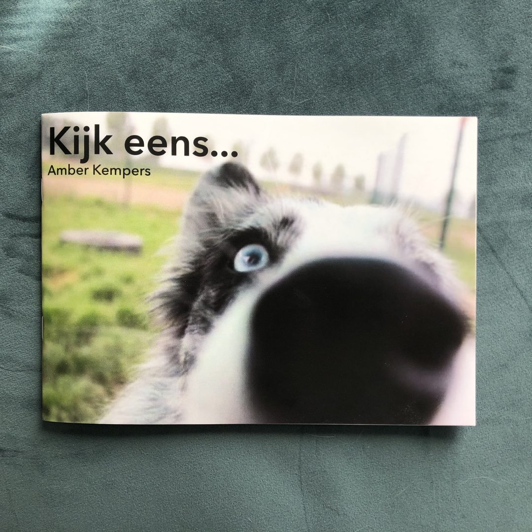 Puppy of hond laten janken & piepen Alles over Veiligheid & Hechting!
