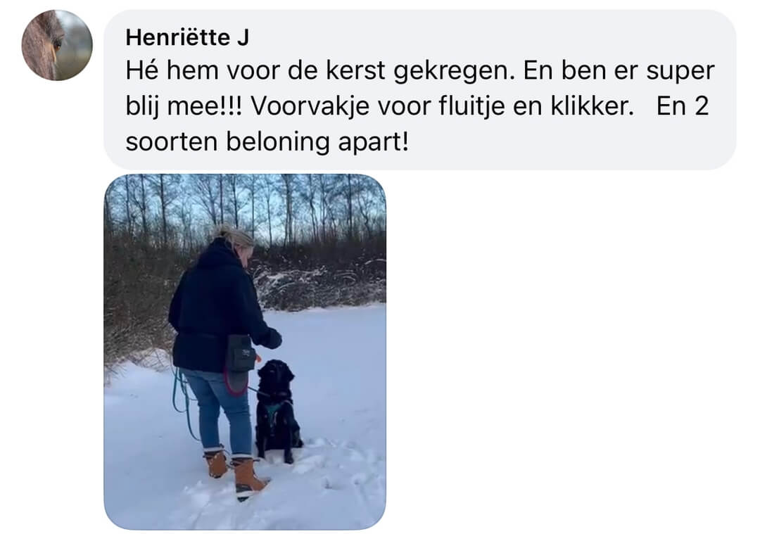 Ervaringen TwinTreat beloningstas hond