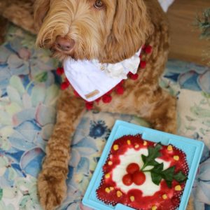 Likmatjes lickmat recepten lickymat lickimat paars labradoodle voorbeeld