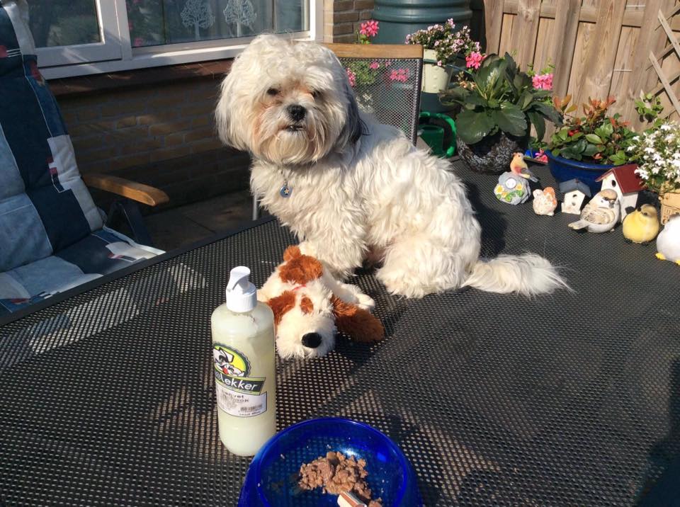 Schapenvet met knoflook zalmolie paardenvet hennepzaadolie allergieen hond gevaarlijk gezond puppy