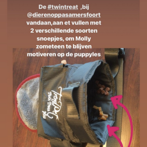 Twin Treat Beloningstasje