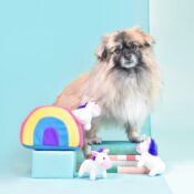 Zippypaws Zippy paws eenhoorn unicorn rainbow knuffel hond honden