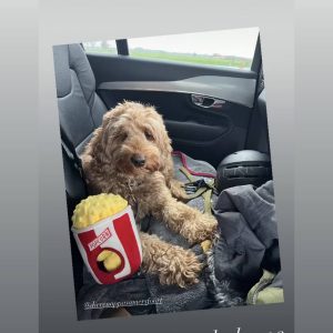 Zippypaws popcorn knuffel hond