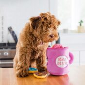 Zippypaws zippy paws burrow koffie coffee en donuts donutz verstopknuffel hond puppy instagram