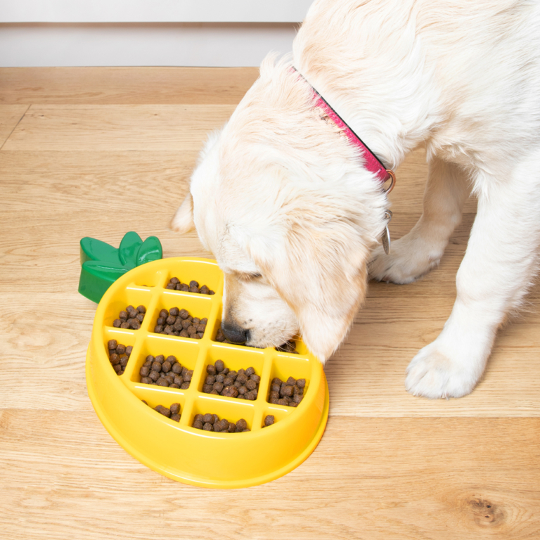 noorden De waarheid vertellen handel Zippypaws hondenspeelgoed - Anti-schrokbakken - Dierenoppas Amersfoort |  Webshop bijzondere huisdier producten!