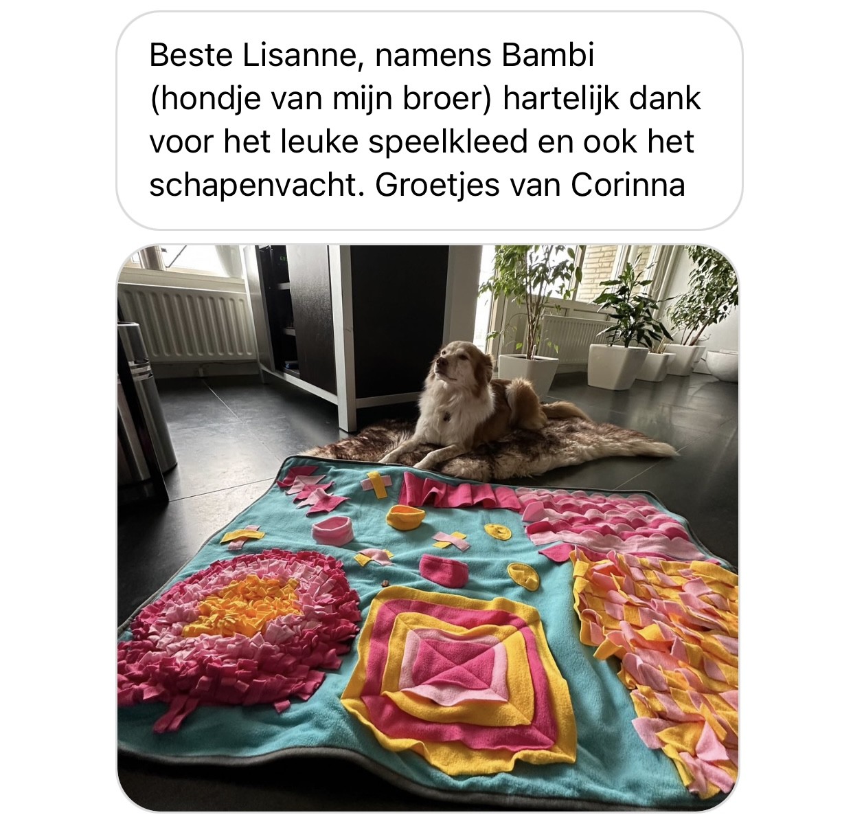 Ervaringen speelkleed snuffelmat hond