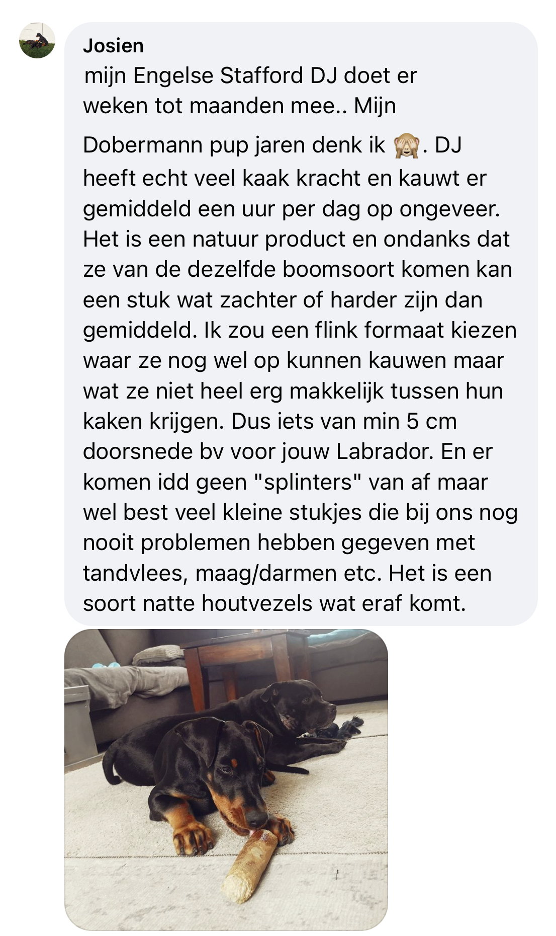 Koffiehout langdurige kauwsnack ervaring gevaarlijk splinters grote hond koffiewortel