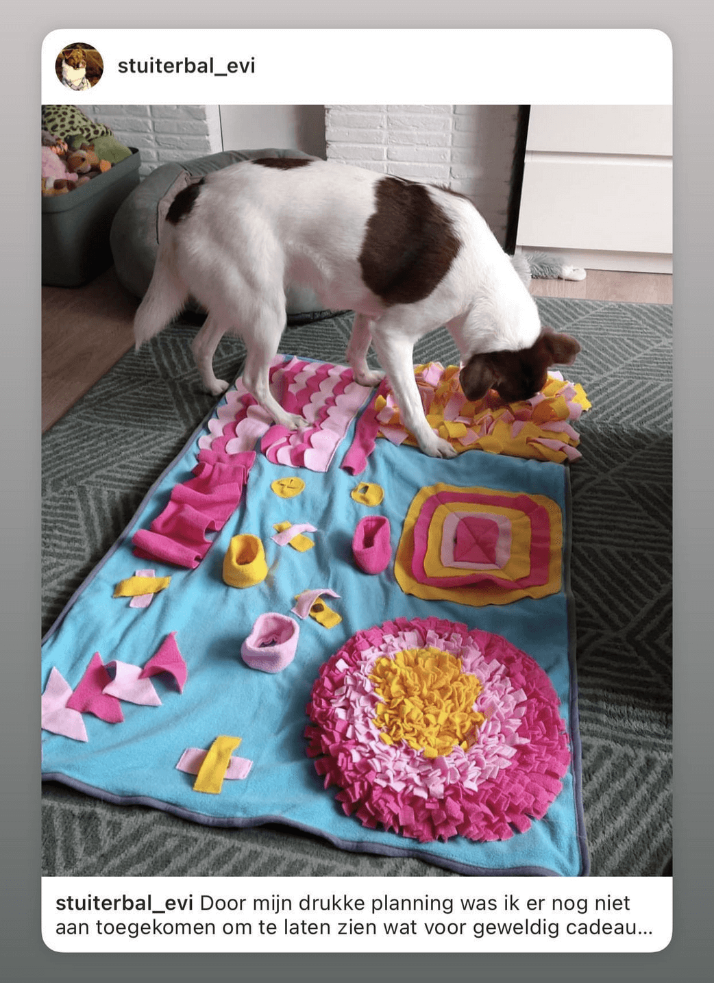 Nieuw! Speelkleed snuffelspel voor Honden & Katten