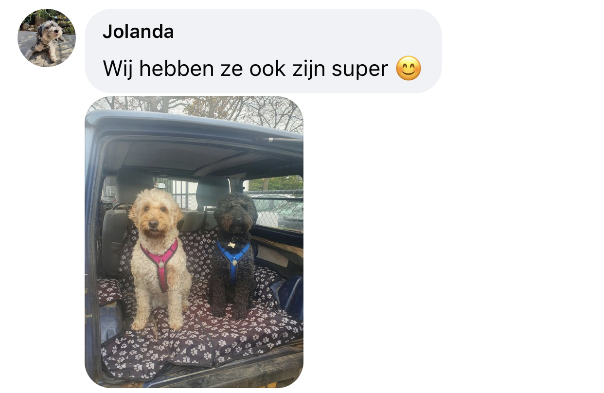 Tuigje voor labradoodle