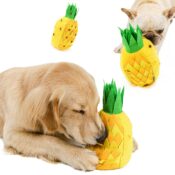 Verstop knuffel Ananas zoekspel mentaal moe maken hond hersenwerk