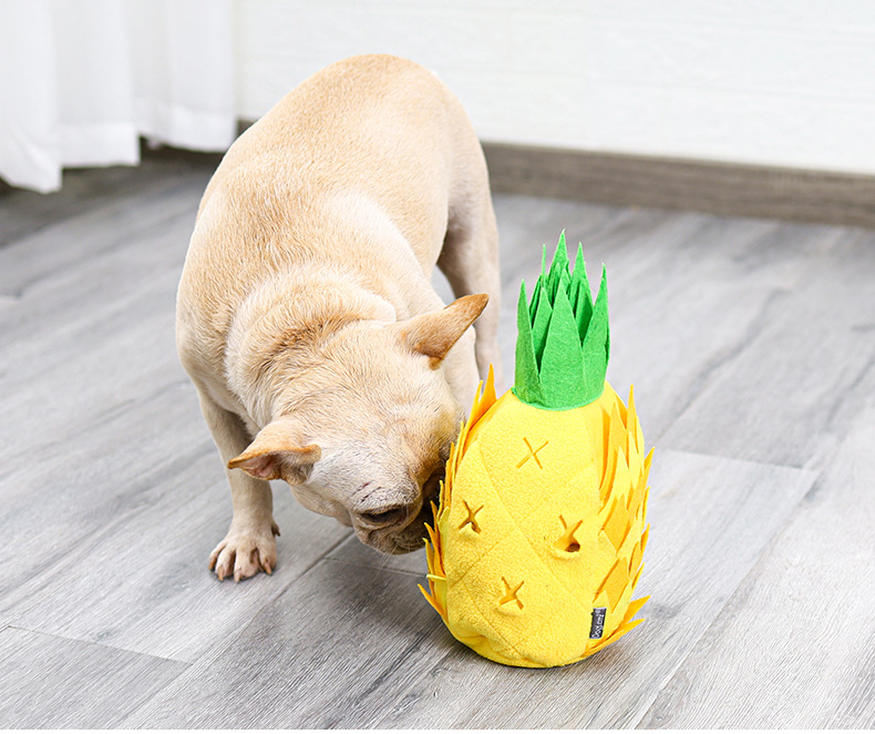 Chemicaliën Berri Voorzichtigheid Eend, Schildpad & Ananas - Zoekspelletjes voor honden!