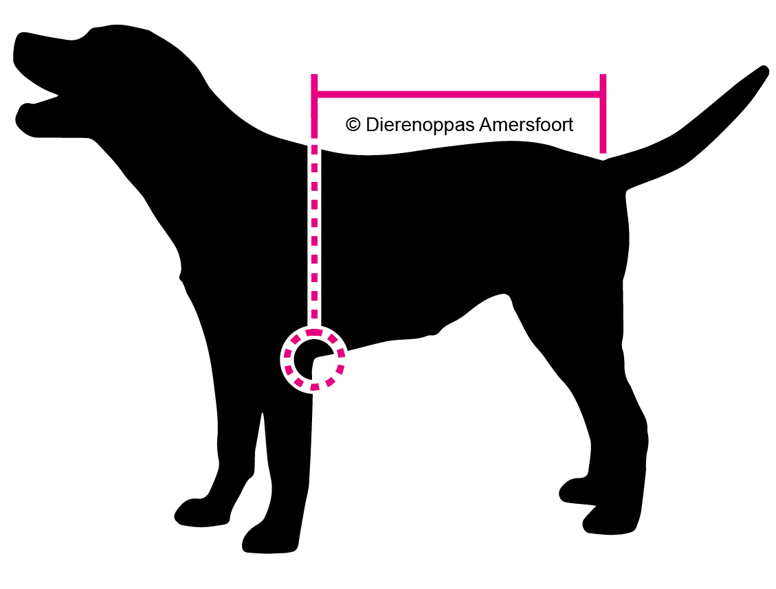 Badjas aanmeten voor hond