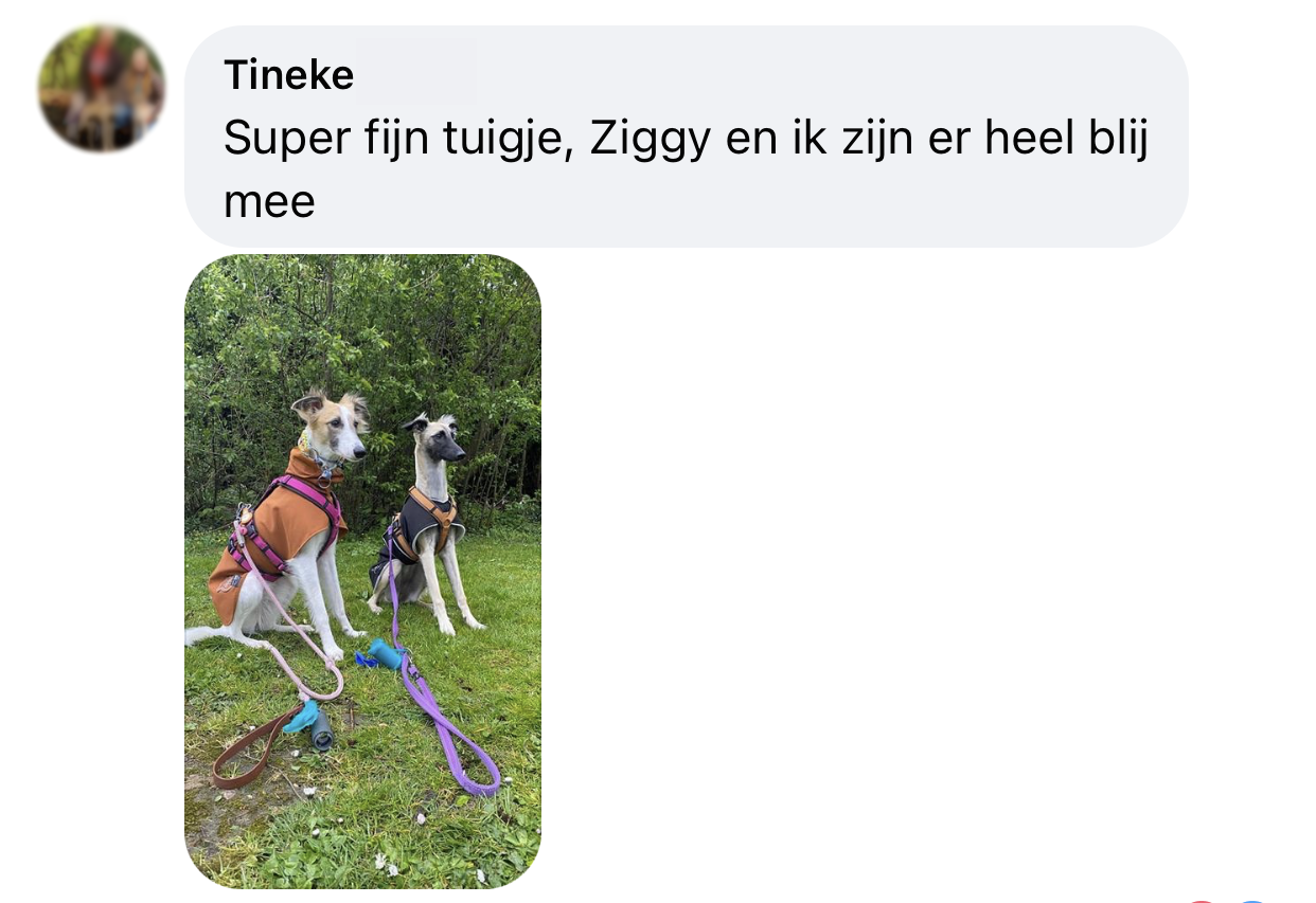 Ervaringen safety annyx tuig anny x hondentuig tuigje windhonden