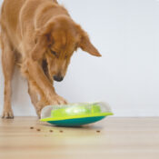 Nina Ottosson hersenwerk hersenwerkje denkspel hond honden Wobbl Bowl