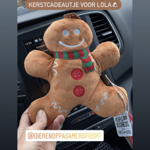 PLAY Gingerman bread knuffel