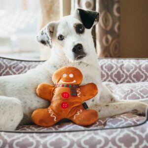 PLAY p.l.a.y. stevige kerstknuffels kerst knuffels hond honden
