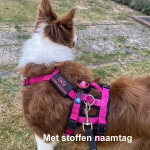 Safety tuig annyx met naam telefoonnummer hond erop