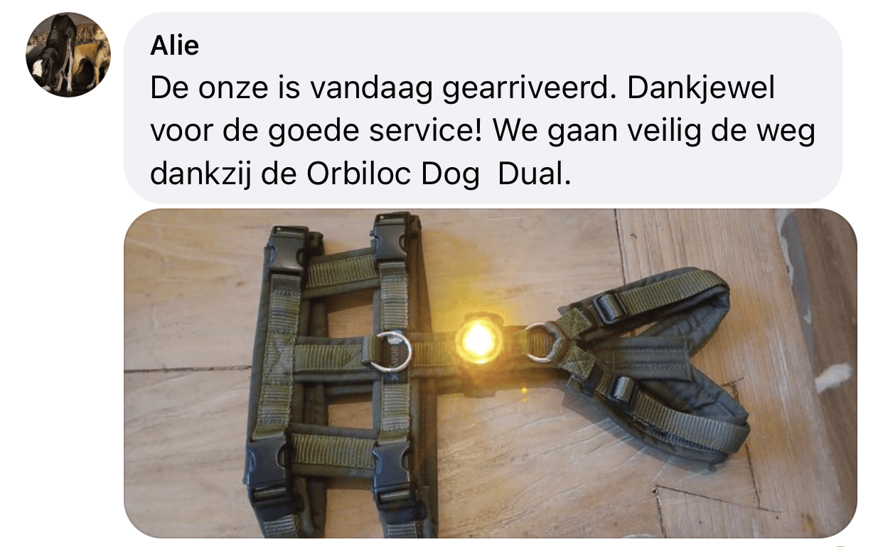 Veiligheidstuig dubbele buikband harnas hond niet uit kunnen komen
