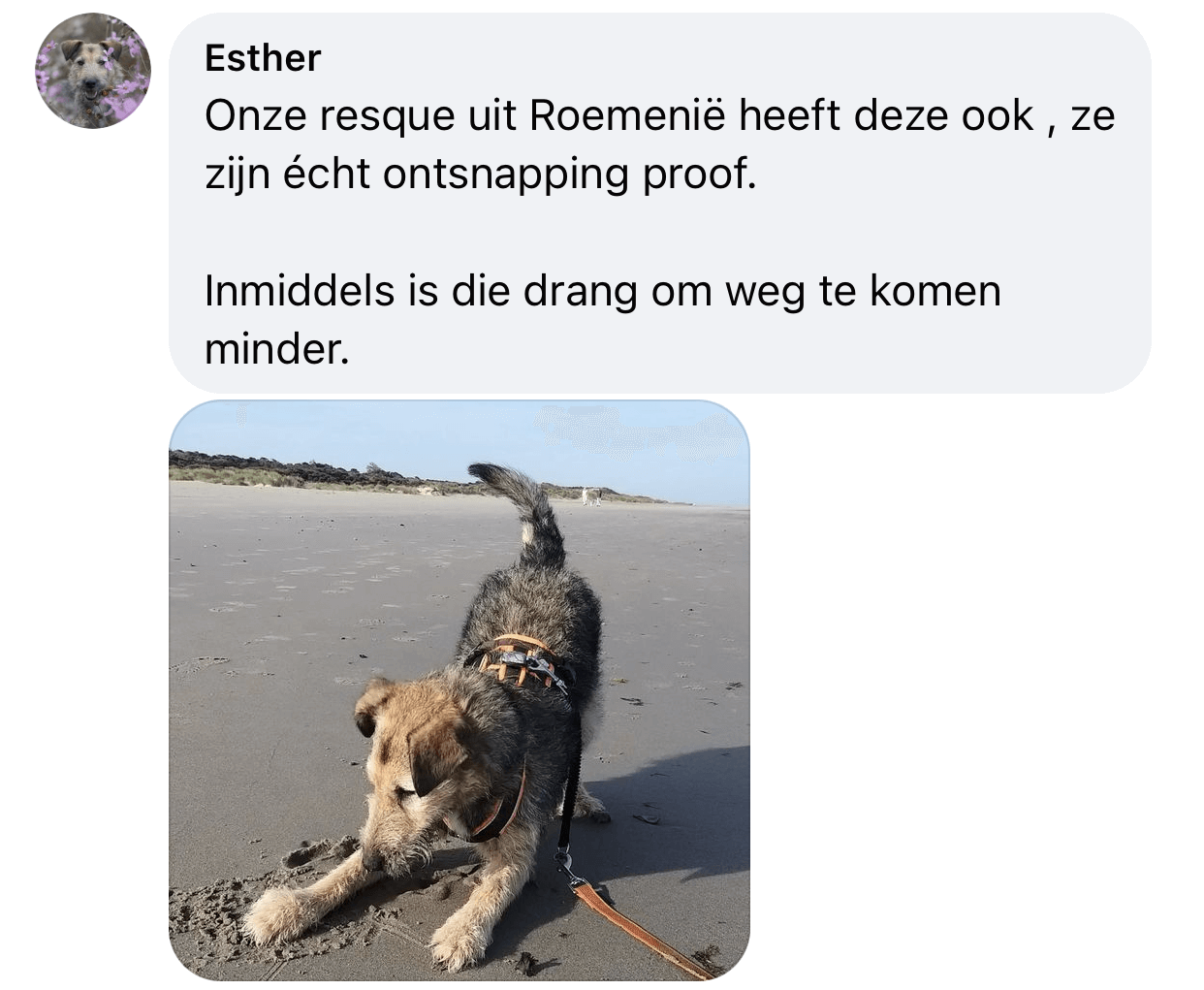 Veiligheidstuig hond niet ontsnappen harnas tuig