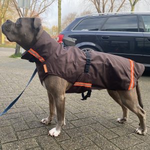 Amerikaanse bulldog stafford regenjas winterjas jas hond maat S