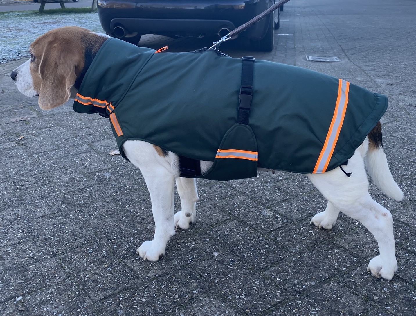 Beagle hondenjas jas hond winter winterjas 20kg
