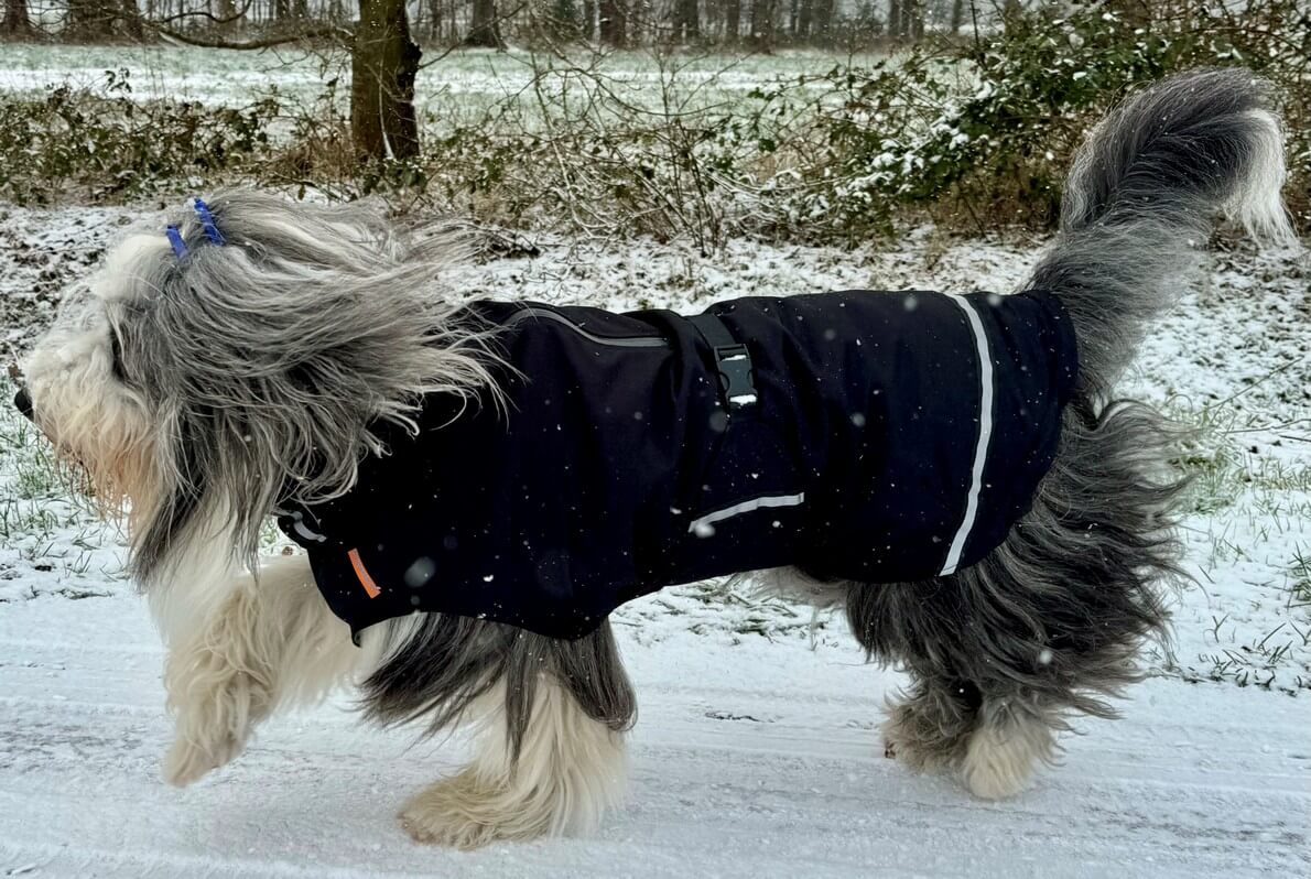 Bearded collie regenjas winterjas waterdicht warm hondenjas