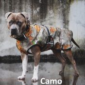 Camo camouflage jachttraining herfstjas winterjas lentejas hond softshell
