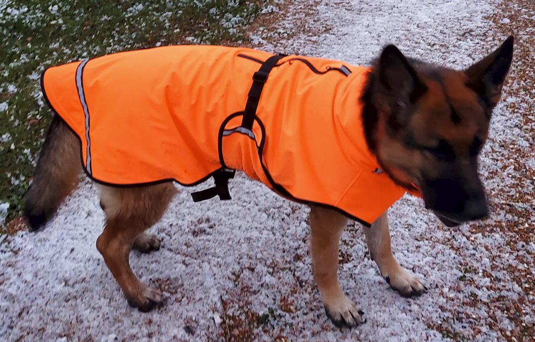 Duitse Herder herdershond regenjas winterjas hondenjas