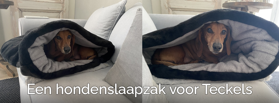 Een honden slaapzak voor teckels hondenslaapzak