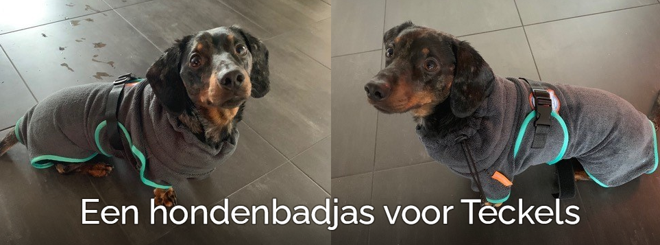 Een hondenbadjas honden badjas voor Teckels