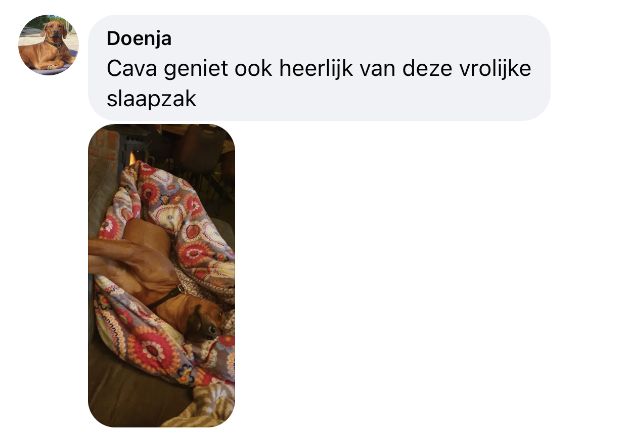 Ervaring honden speelzak