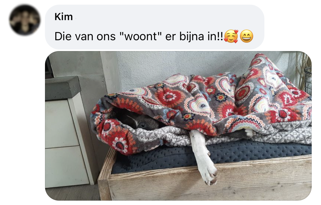 Ervaringen hondenslaapzak slaapzak voor honden