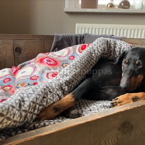 Grote hond in de honden slaapzak XL mandala kleur