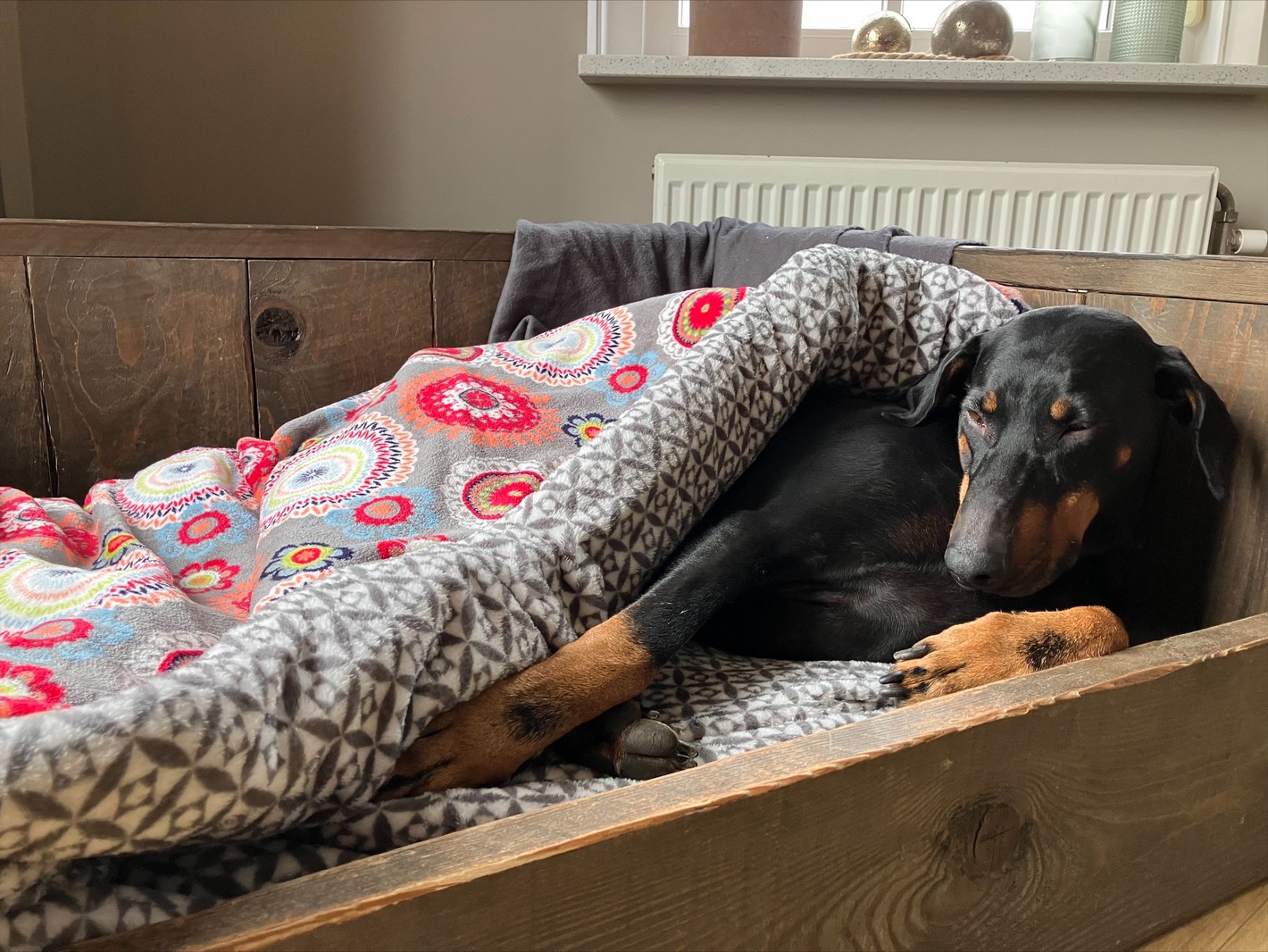 Grote hond in de honden slaapzak XL mandala kleur