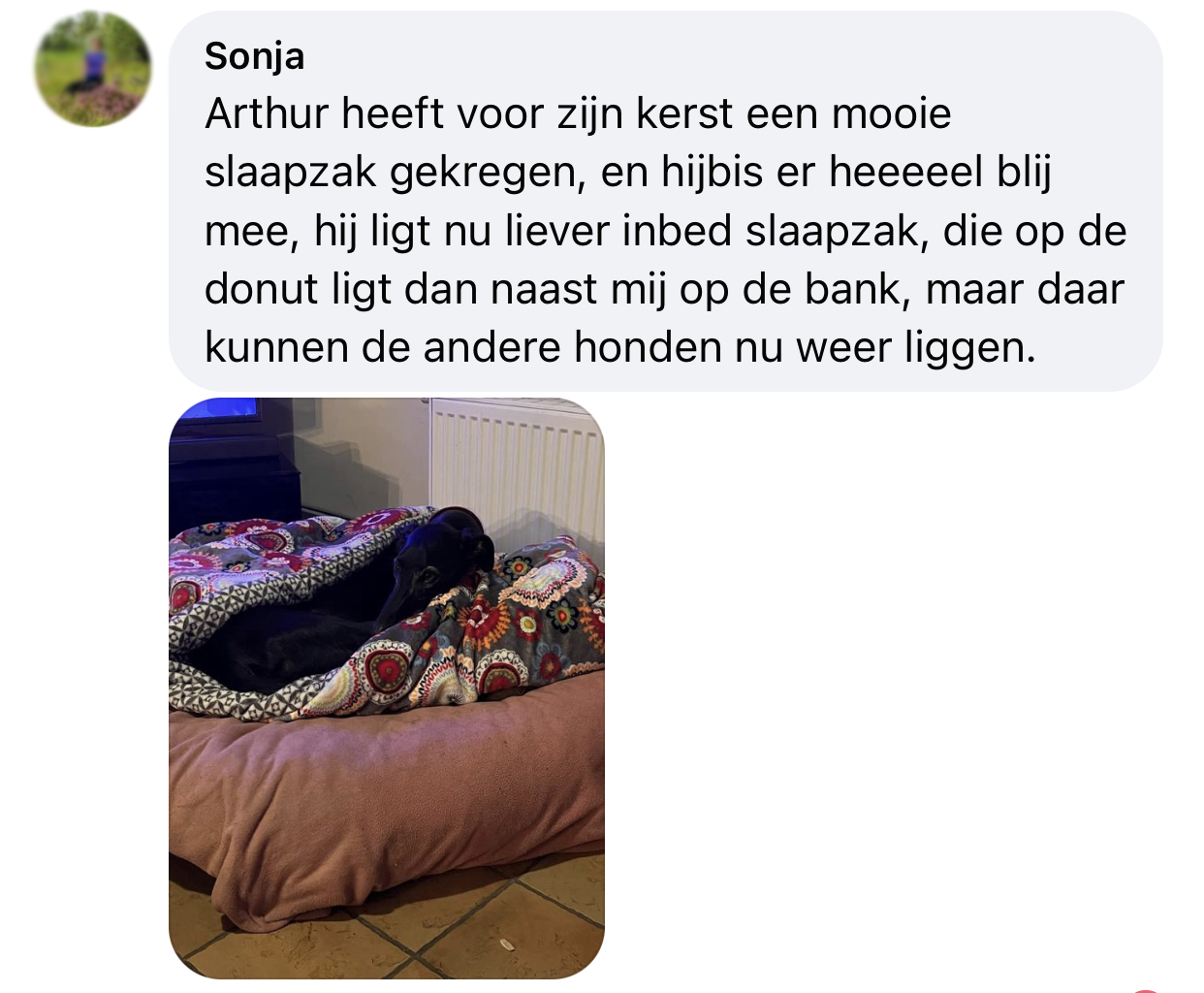 Heerlijk liggen warm in een honden slaapzak