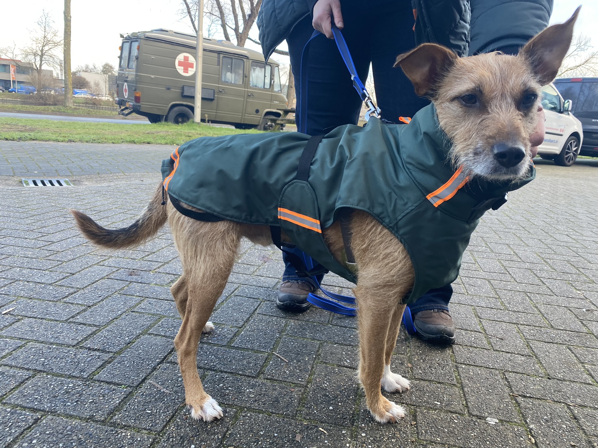 Hond 19kg regenjas winterjas maat XS