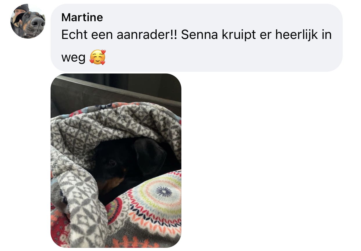 Hond kruipt weg in slaapzak