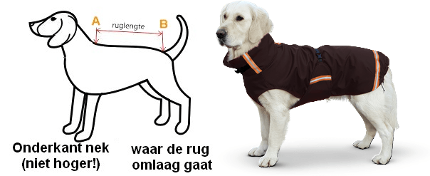 Hond meten regenjas