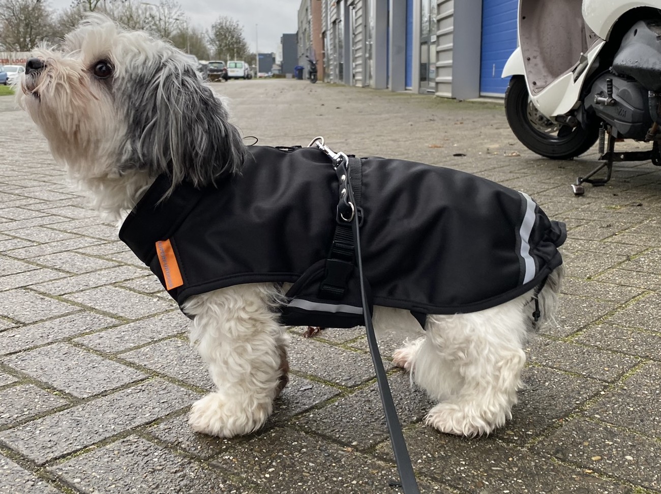 Hondenjas klein hondje regenjas winterjas met rits voor tuigje 6kg